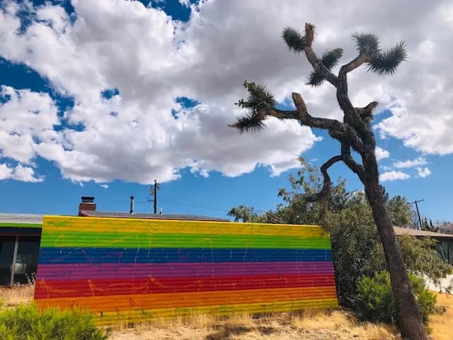 Joshua Tree, CA 2