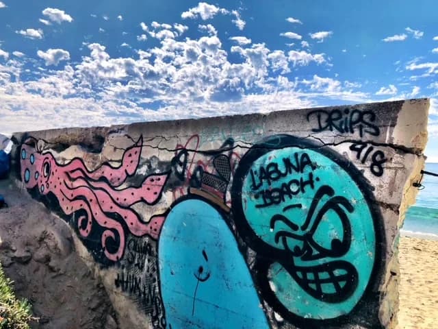 Laguna Beach, CA 2