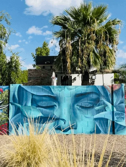 Phoenix, AZ 5